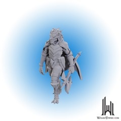 D&D Nolzur's Marvelous Miniatures: Dragonborn of Tiamat